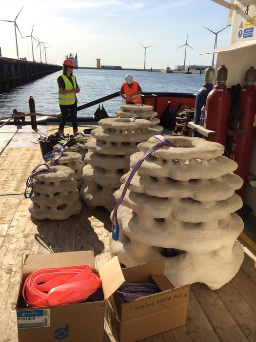 REEF DESIGN LAB : Large Scale 3D Printed Reefs for the North Sea